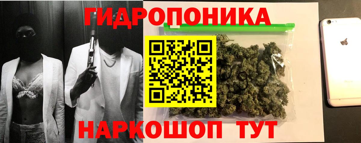 Канабис OG Kush Санкт-Петербург